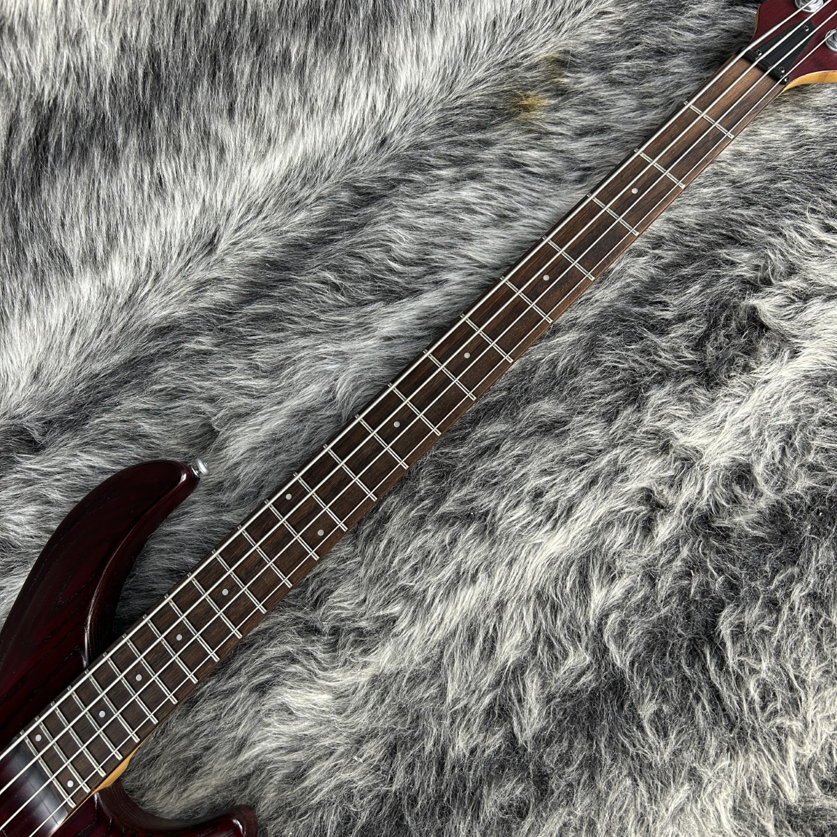 Aria Pro II IGB-68 STWR（中古）【楽器検索デジマート】