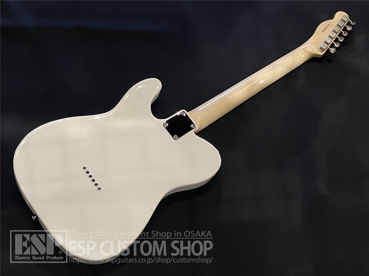 GRASSROOTS G-TE/M Snow White エレキギター GrassRoots G-TE/M / Snow White（新品/送料無料）【楽器検索