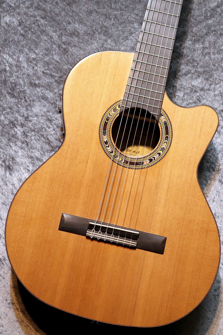 Orpheus Valley Guitars F65CW-7S 7弦 エレガット