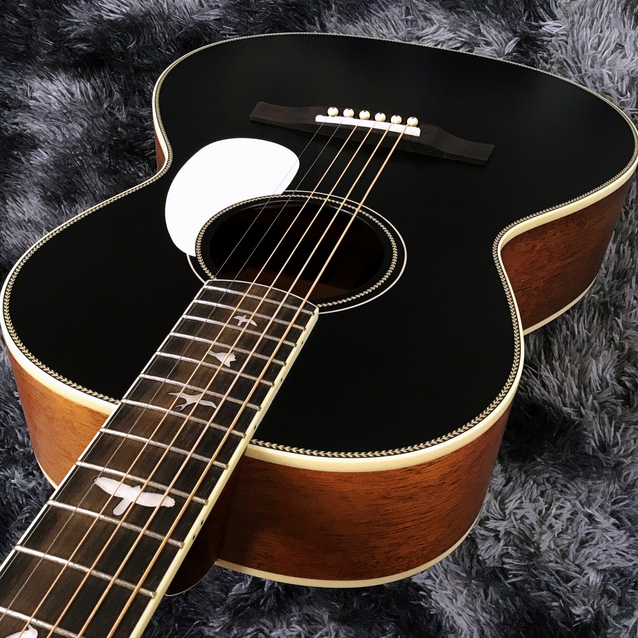 Paul Reed Smith(PRS) SE P20E Parlor Satin Black Top【特価