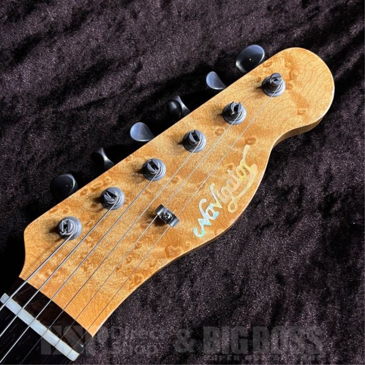 Navigator Custom Order N-TE-ASR（中古/送料無料）【楽器検索デジマート】