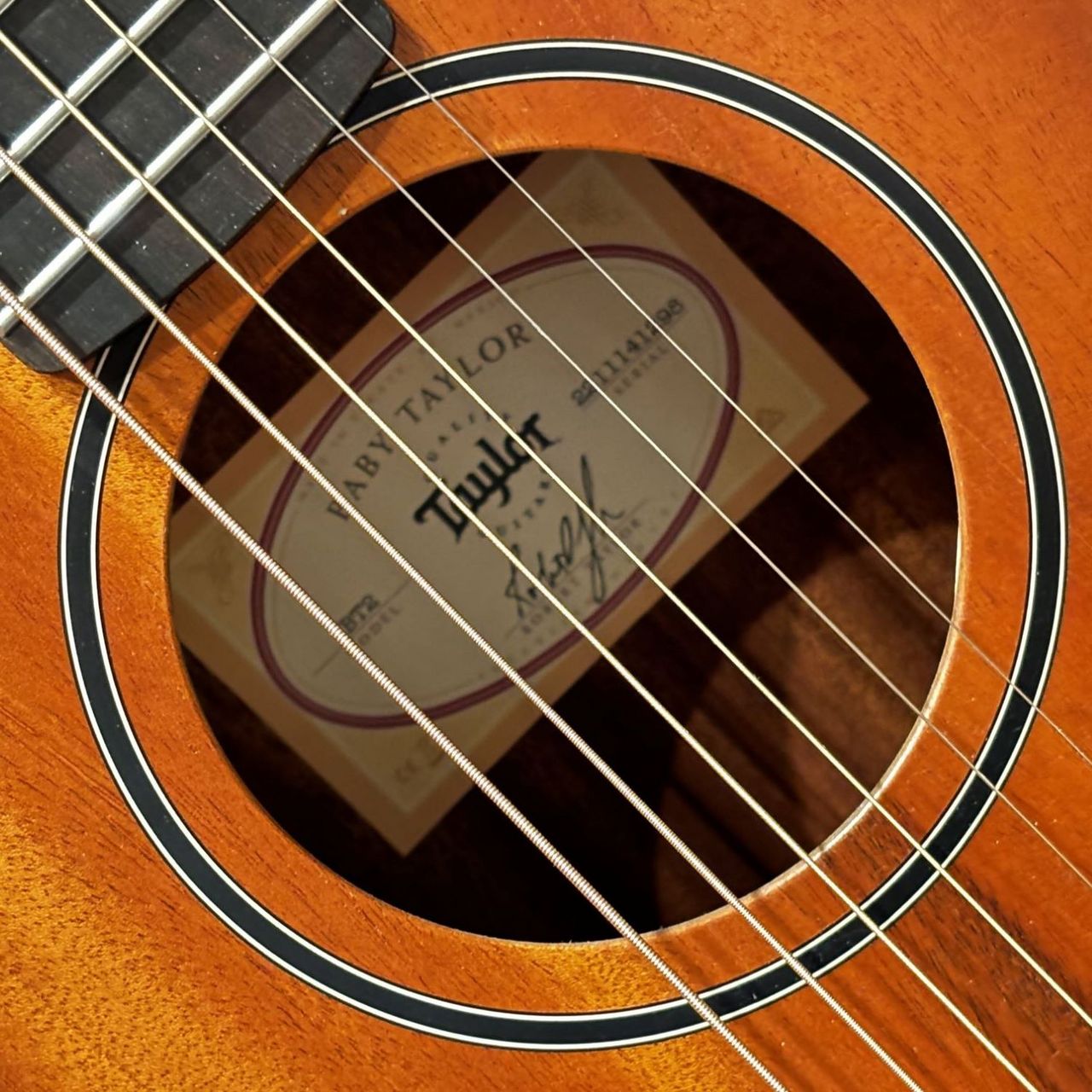 Taylor BT2（新品/送料無料）【楽器検索デジマート】