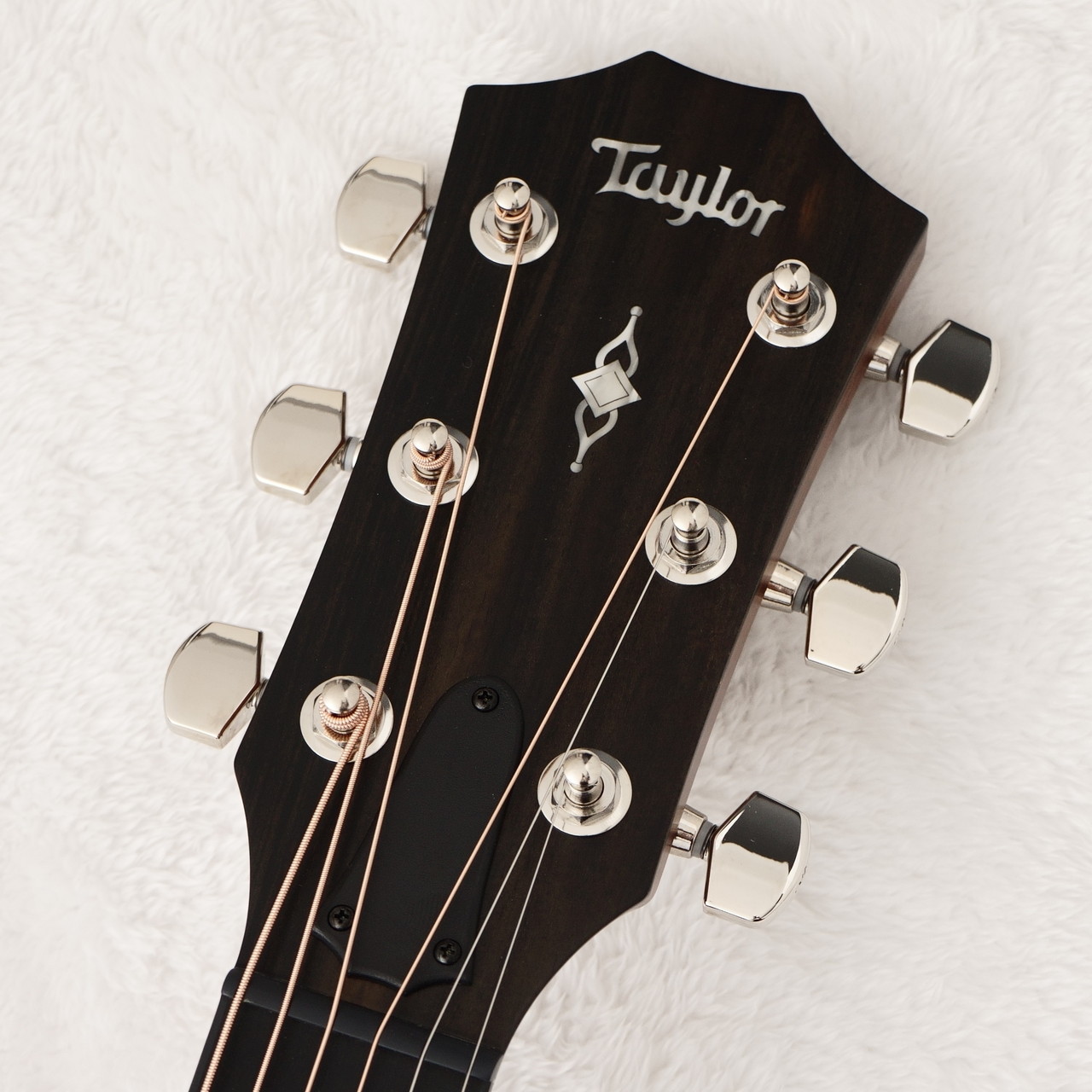 Taylor 314ce ★最終値下げ 今月で出品終了します★ 楽天市場】Taylor（テイラー）2023 Special Edition 314ce V-Class