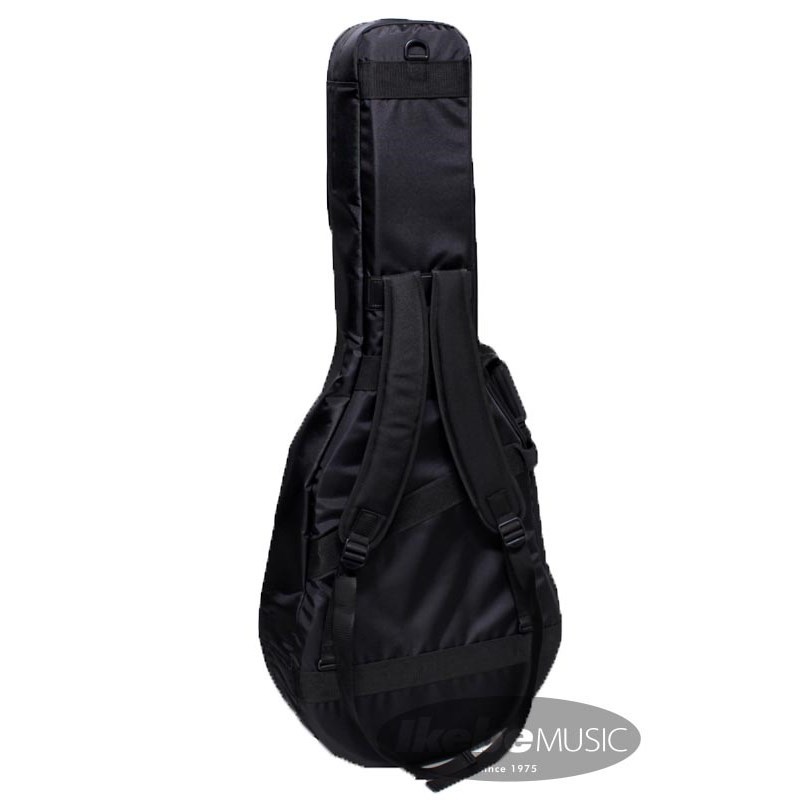 NAZCA 【受注生産品】 Protect Case [Gretsch G6120  Nashville用/Black#8]（新品/送料無料）【楽器検索デジマート】