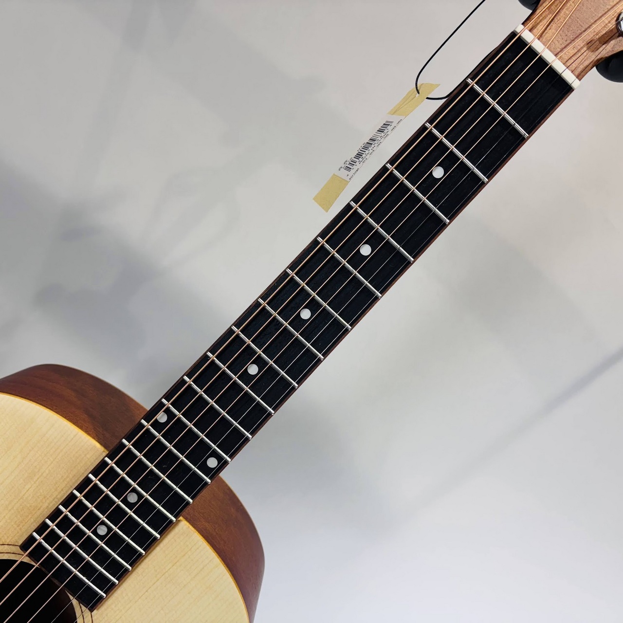 音音 DT1S NTS (Natural Spruce)（新品/送料無料）【楽器検索デジマート】