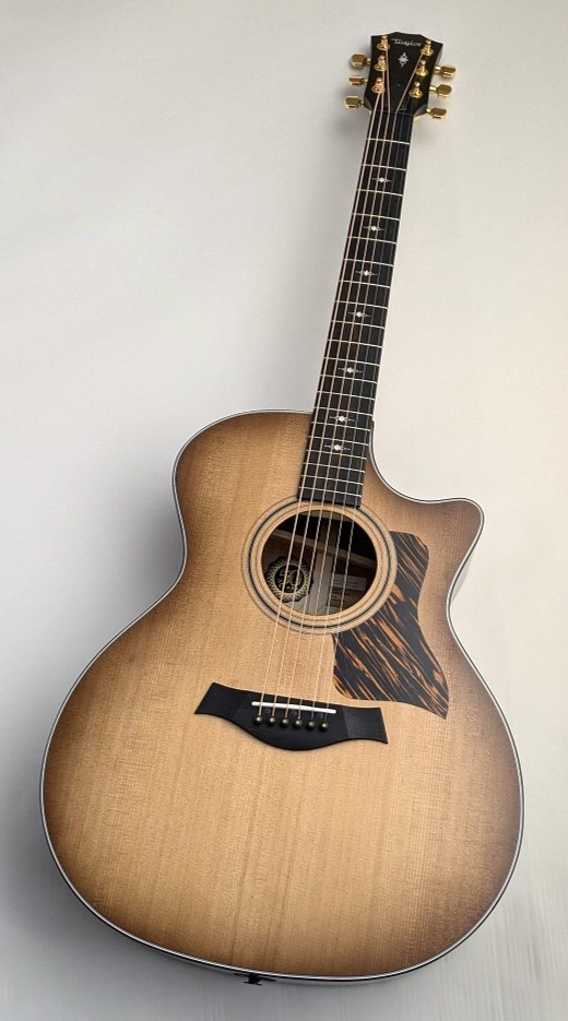 Taylor 50th Anniversary 314ce  LTD【トレファイドスプルースの極鳴り】【世界1974本限定】【48回払い無金利】（新品）【楽器検索デジマート】