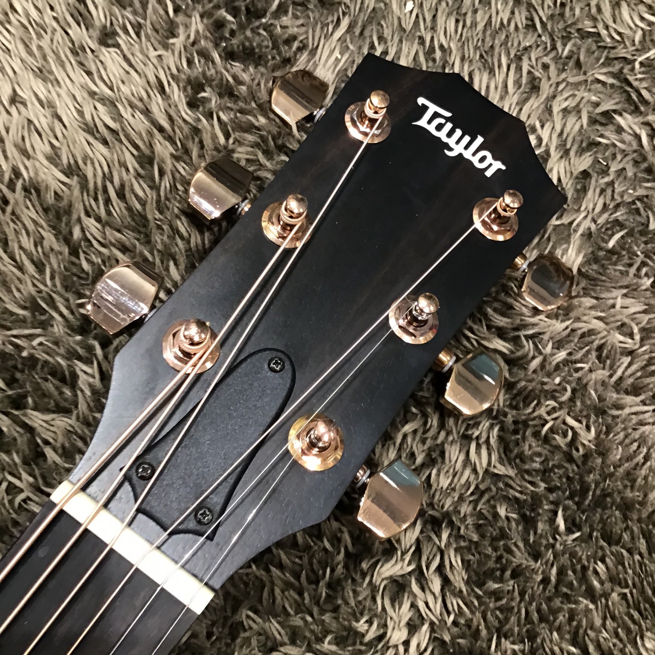 Taylor (テイラー) 214ce RW DLX / ハードケース付属 / 2021年製