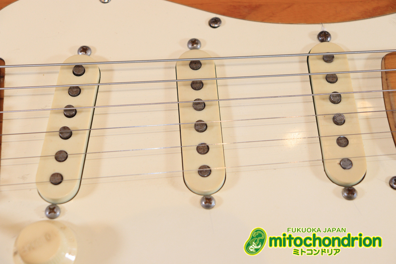 Fender 1974年製 STRATOCASTER / Natural（ビンテージ）【楽器