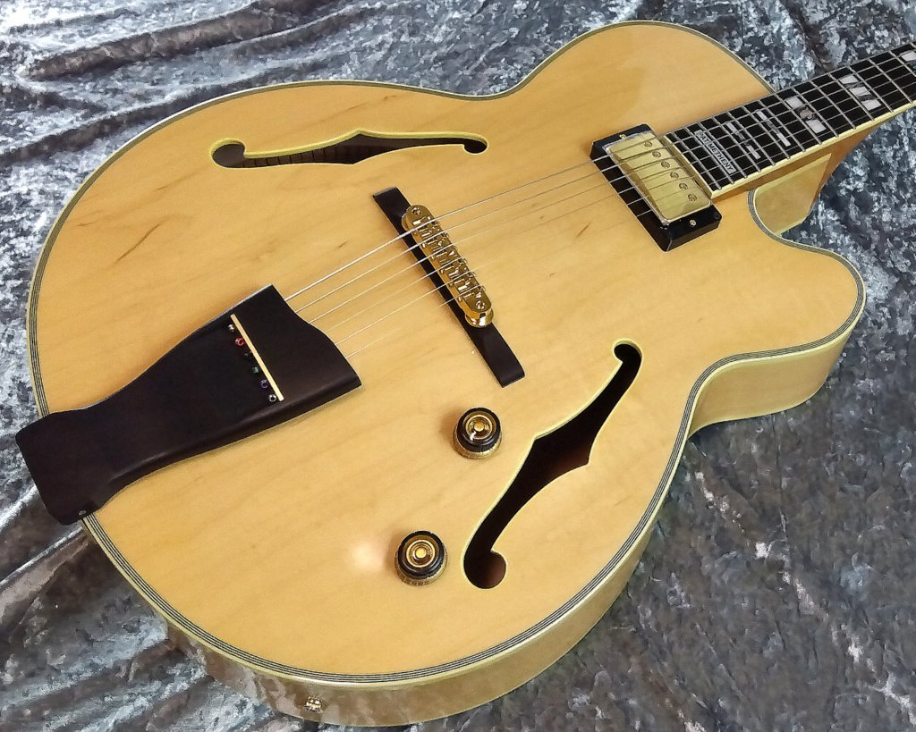 Ibanez フルアコ パット・メセニーモデル ハードケース付き Ibanez フルアコ パット・メセニーモデル ハードケース付き 楽天