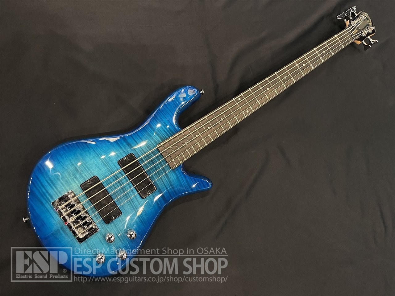 Spector Legend5 Standard Blue Stain Gloss（新品/送料無料）【楽器