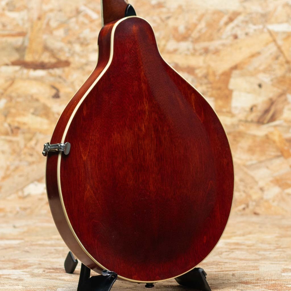 値下げ！】Gibson ビンテージ マンドリン ペグ 1900〜1910年代 値下げ