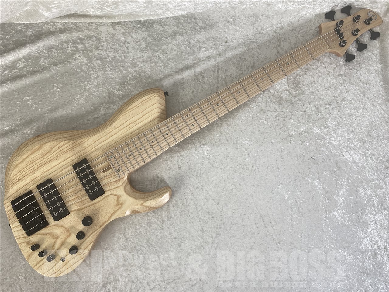 dragonfly SDC5-BC ASH NATURAL (open pore)（新品/送料無料）【楽器