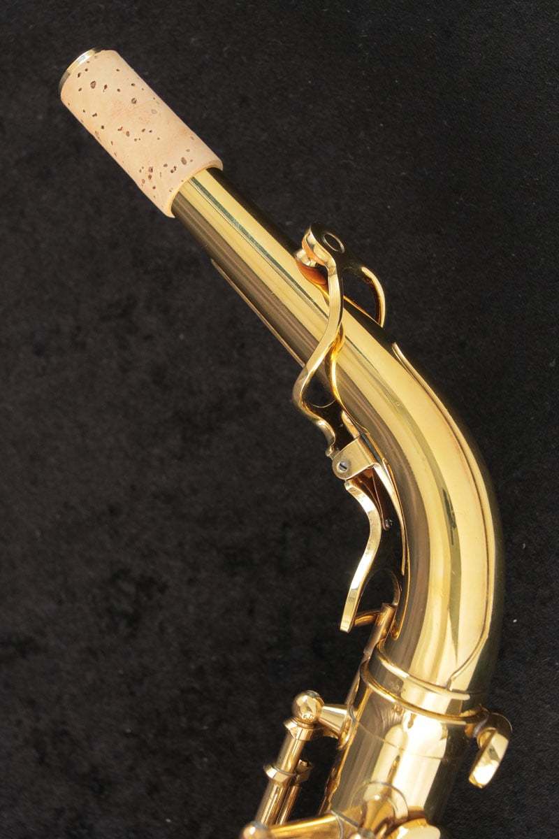 YANAGISAWA　ヤナギサワ A-880 ELIMONA アルトサクソフォン YANAGISAWA ヤナギサワ A-880 ELIMONA アルトサクソフォン（中古