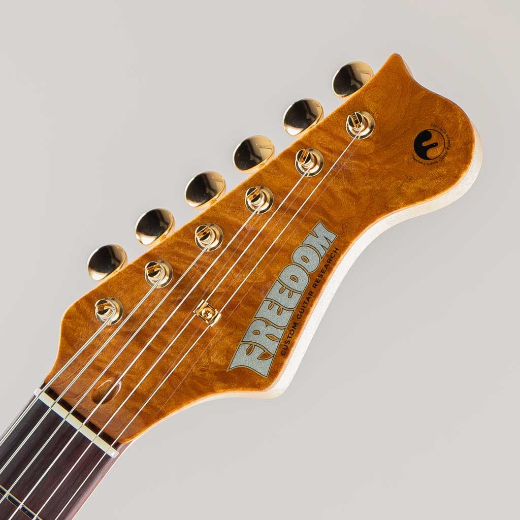 FREEDOM CUSTOM GUITAR RESEARCH C.S. EZa 24F FT / Vintage Yellow