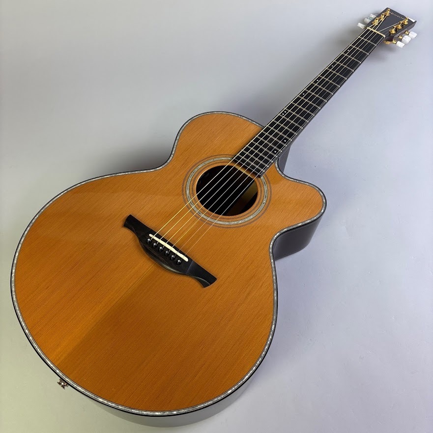 HISTORY NT-301CA（中古/送料無料）【楽器検索デジマート】