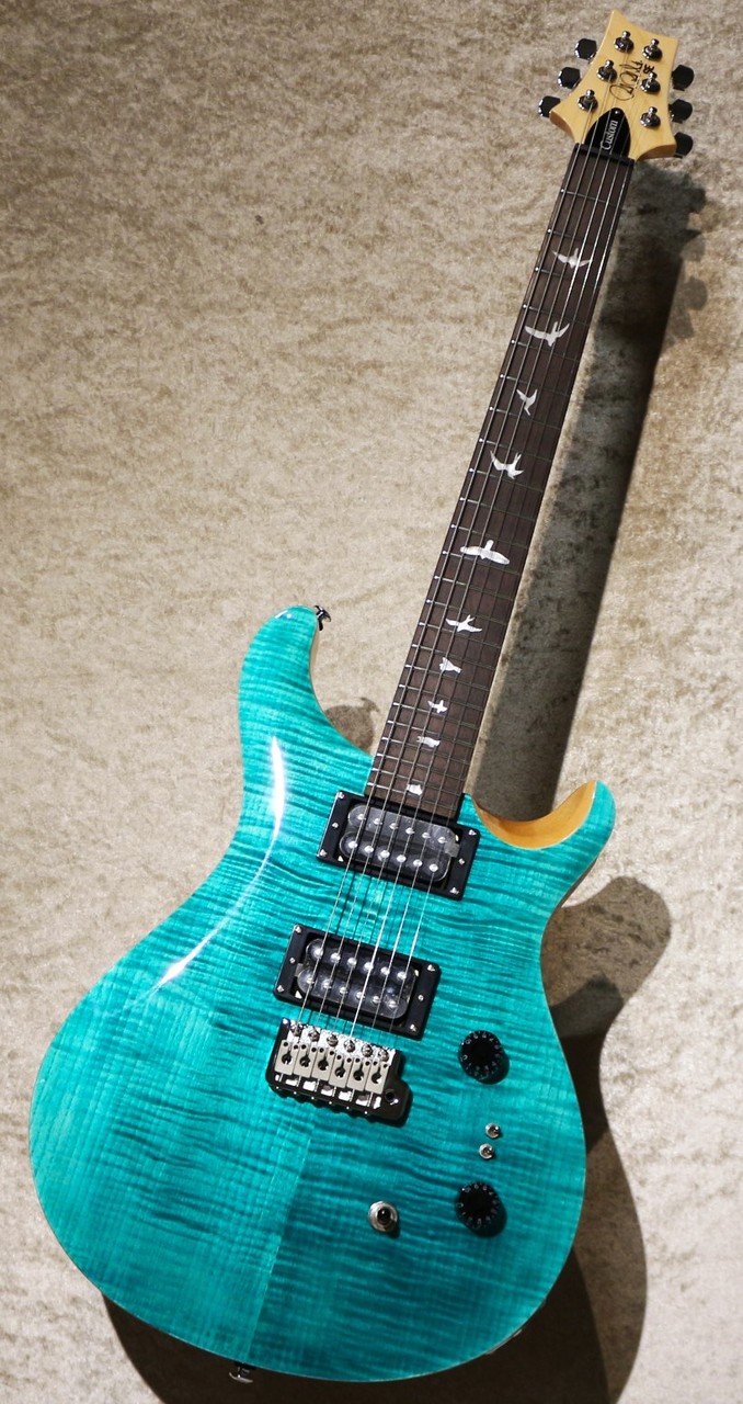 Paul Reed Smith(PRS) 【新色ターコイズ!!】SE Custom24-08 TU