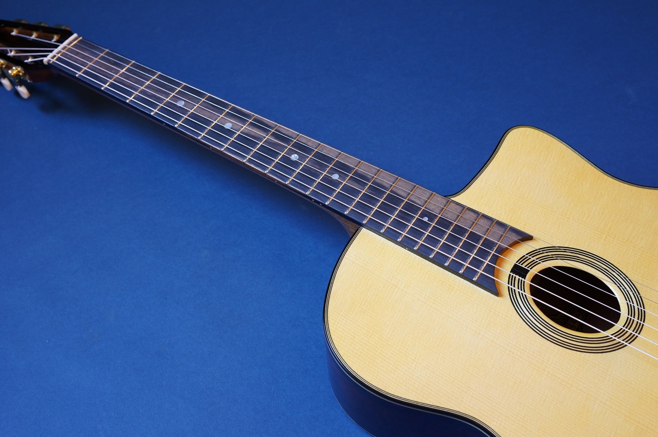 Stringphonic Advanced Oval 10th Anniversary（新品/送料無料）【楽器