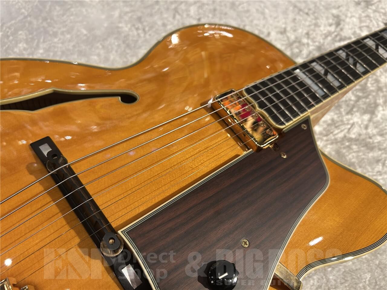 D'Angelico 【即納可能/美品中古品】NYL-2 (Made in Japan)（中古/送料