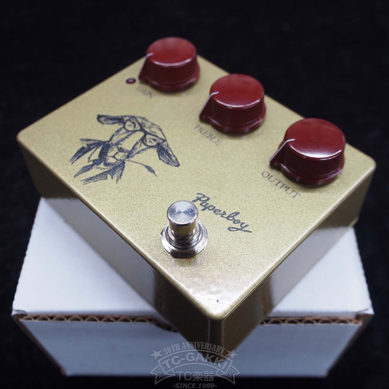 Paperboy Pedals Goat【USED】 ペーパーボーイペダル 【 イオン