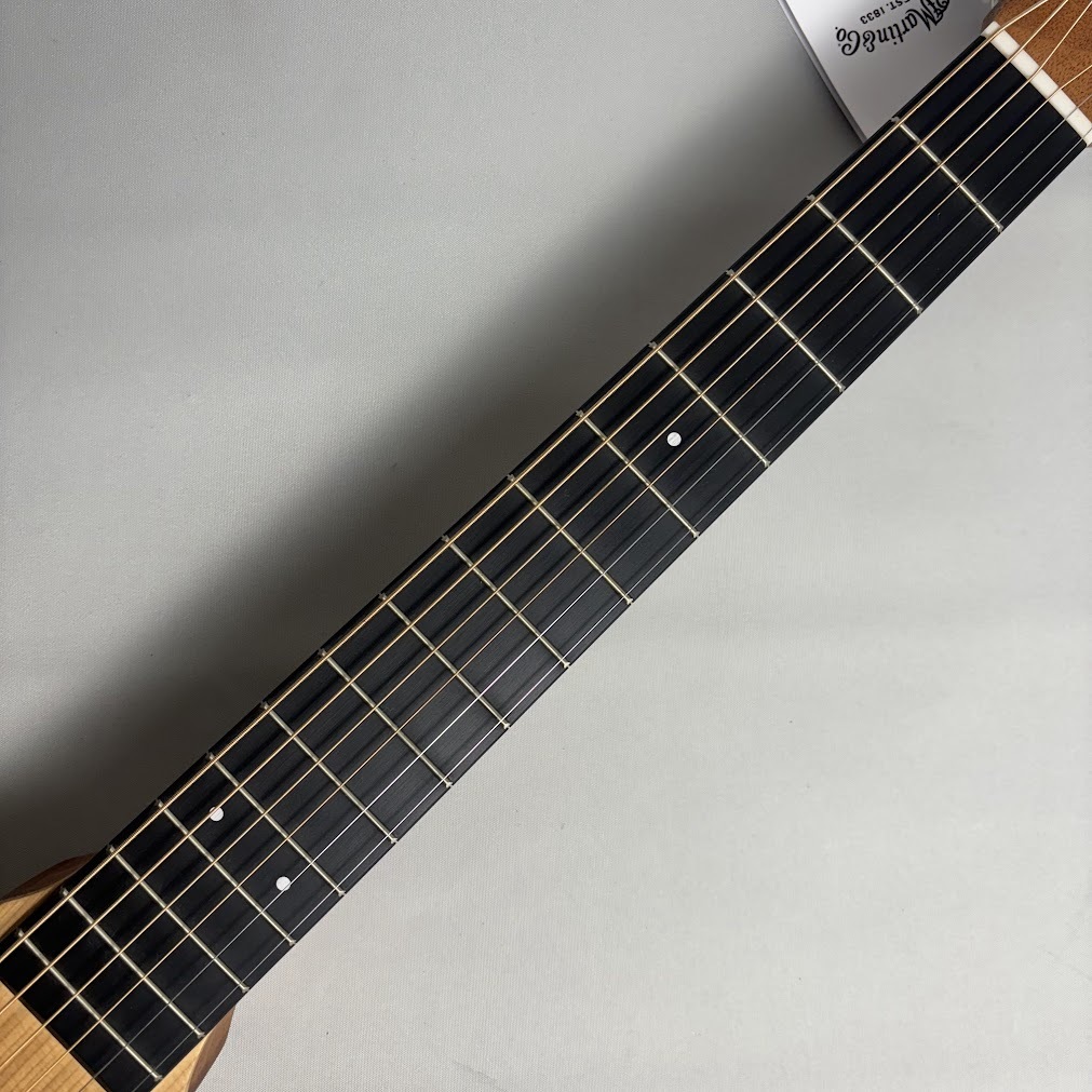 Martin Backpacker GTR バックパッカー トラベルギター（新品特価/送料