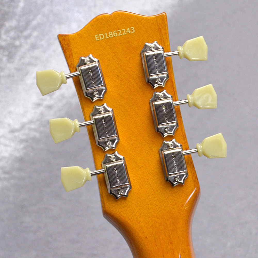 EDWARDS E-LP-STD/P【ゴールドトップ】現物画像（新品/送料無料