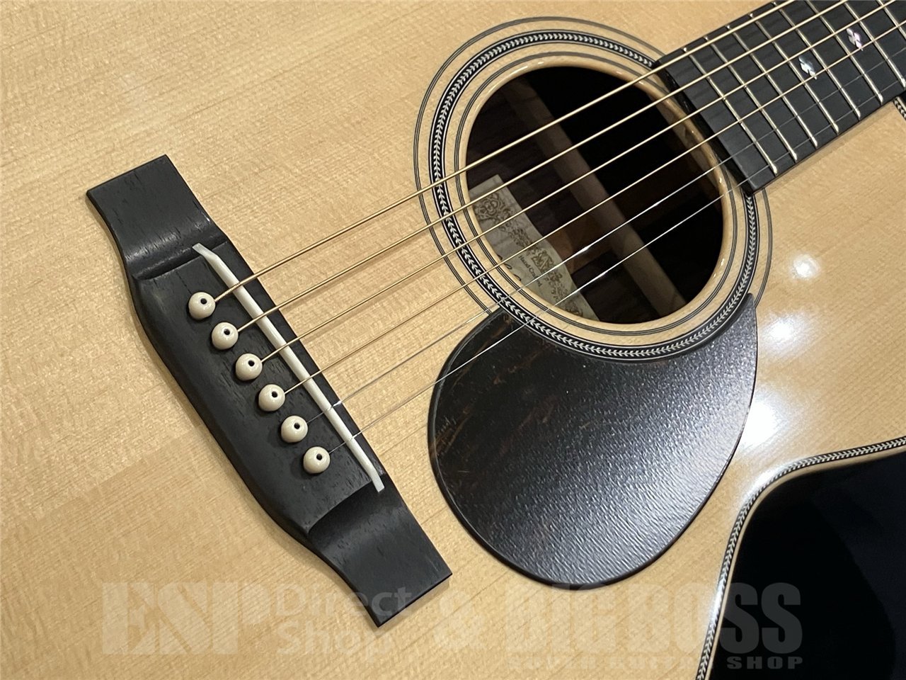 ASTURIAS E.C. CUSTOM 【Limited Model】（新品/送料無料）【楽器検索