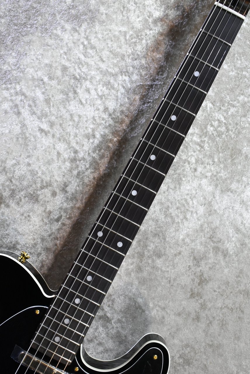 Tokai ATE-101B/G BBR #250631【待望の入荷、漆黒指板、3.69kg】（新品