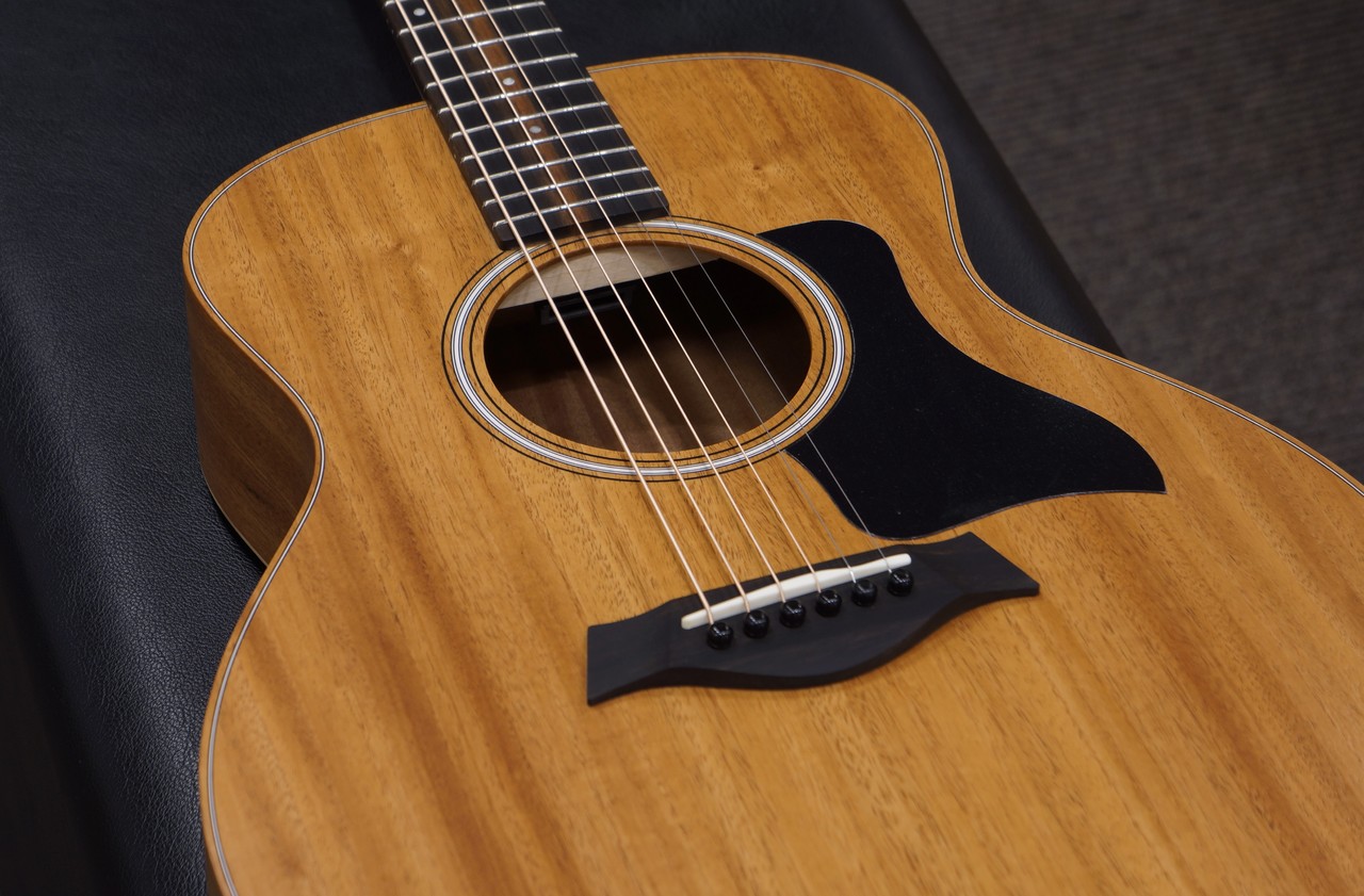 Taylor GS-Mini Mahogany（新品/送料無料）【楽器検索デジマート】