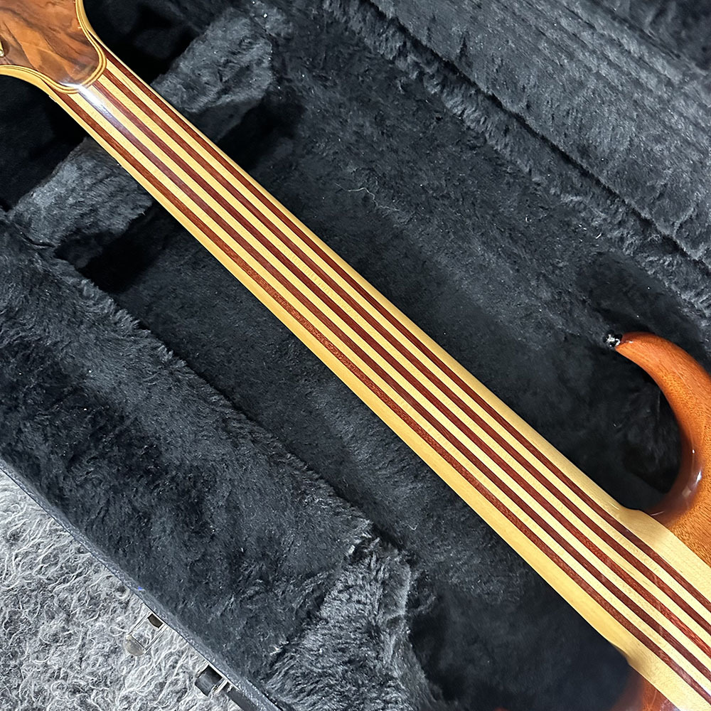 ALEMBIC Europa 6st FL（中古/送料無料）【楽器検索デジマート】