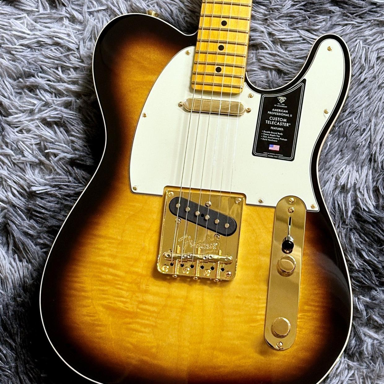 楽器・機材 【ともさま専用】Telecaster Custom テレキャスター