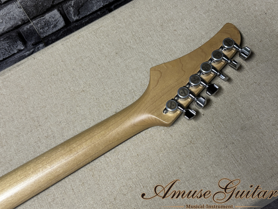 【LED内蔵】VELLMOR Custom V Type【Order Made】 LED内蔵】VELLMOR Custom V Type【Order Made】