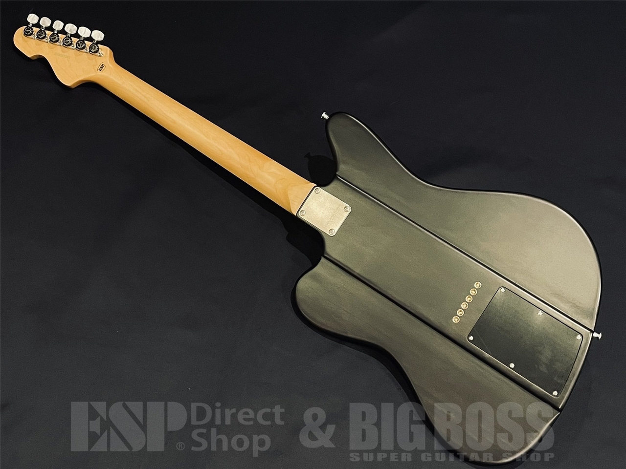 EDWARDS KARMASTER / See Thru Black 【9mm Parabellum Bullet 滝 善充