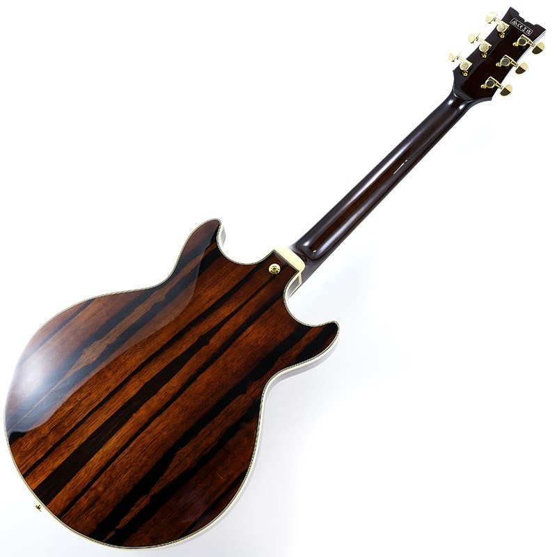 Ibanez Artcore Expressionist AM93ME-NT [SPOT MODEL]（新品）【楽器