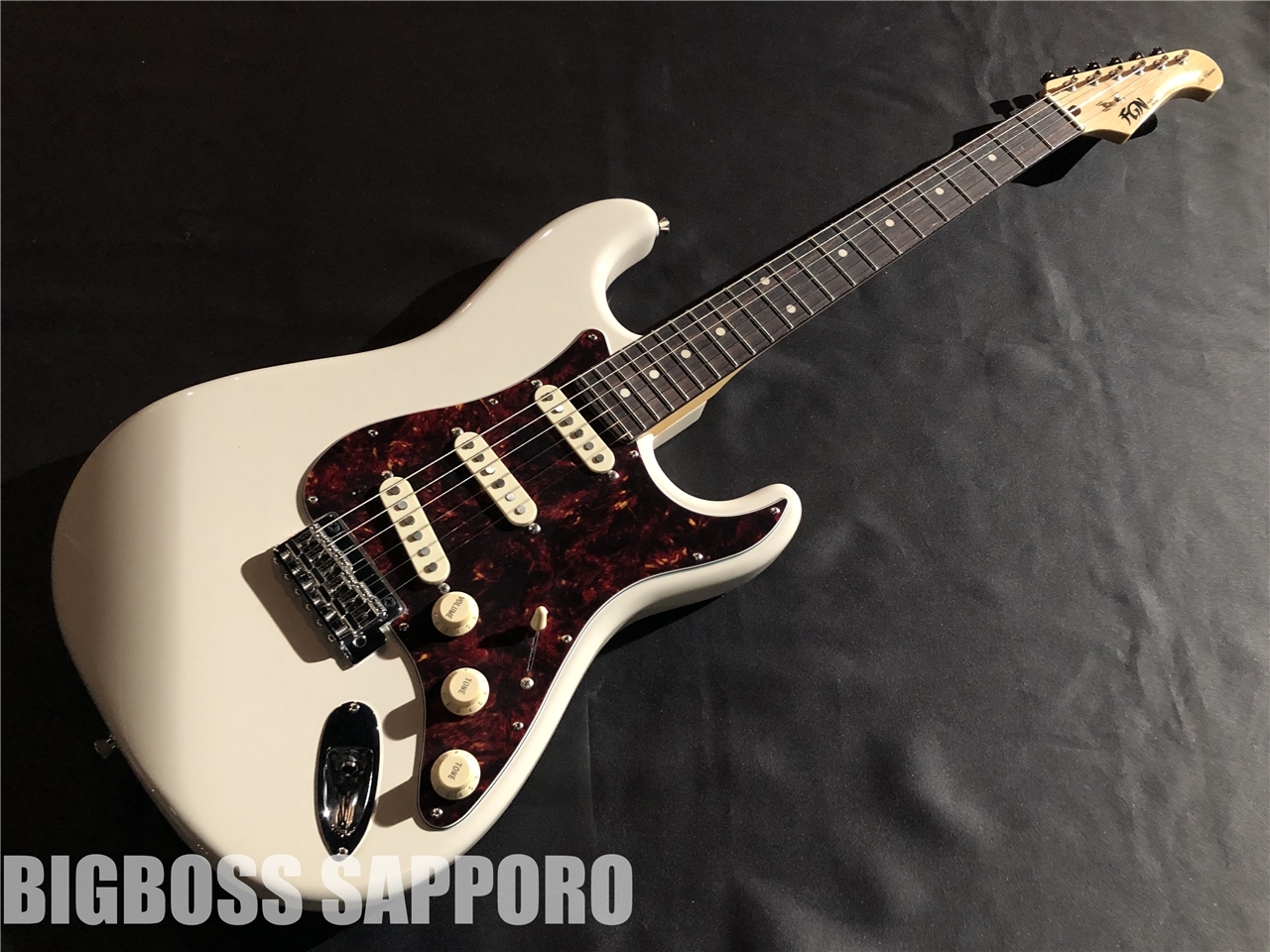 FUJIGEN(FGN) NST10RAL (VWH)