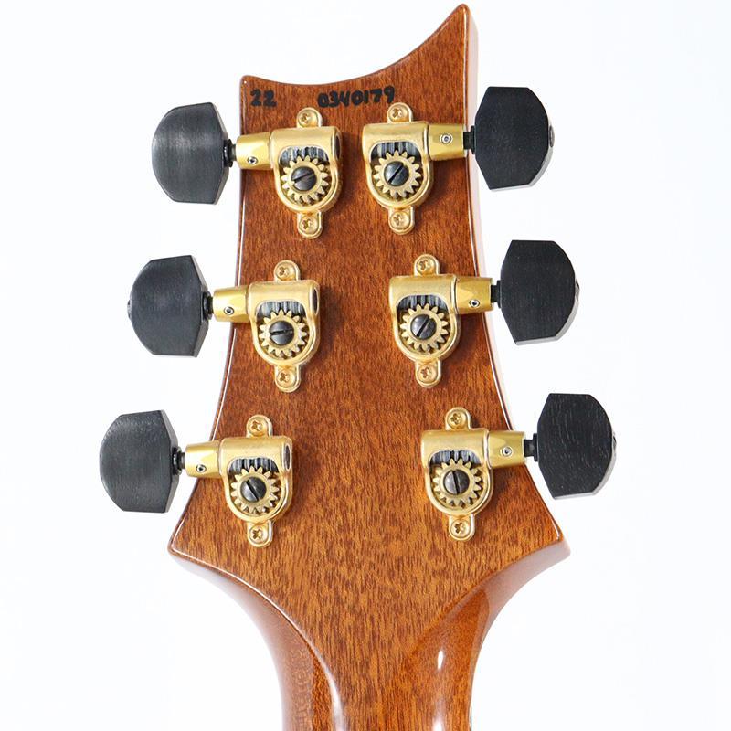 Paul Reed Smith(PRS) Ikebe Original Wood Library Custom24 McCarty