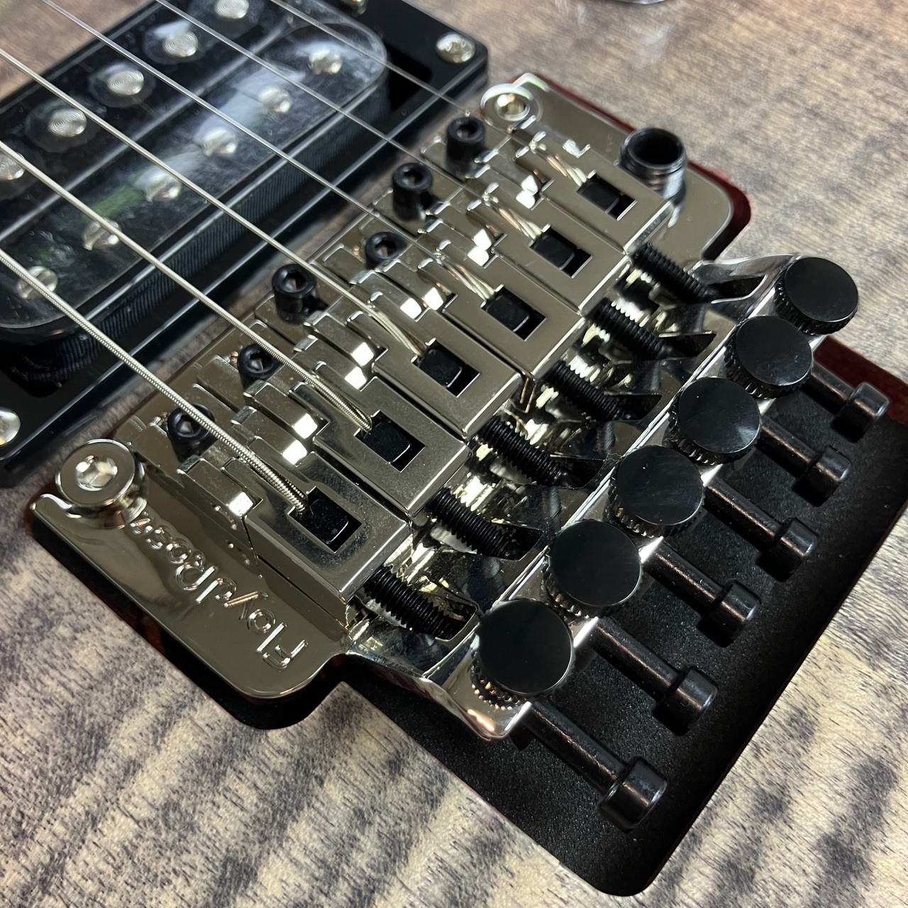 Paul Reed Smith(PRS) SE Custom 24 