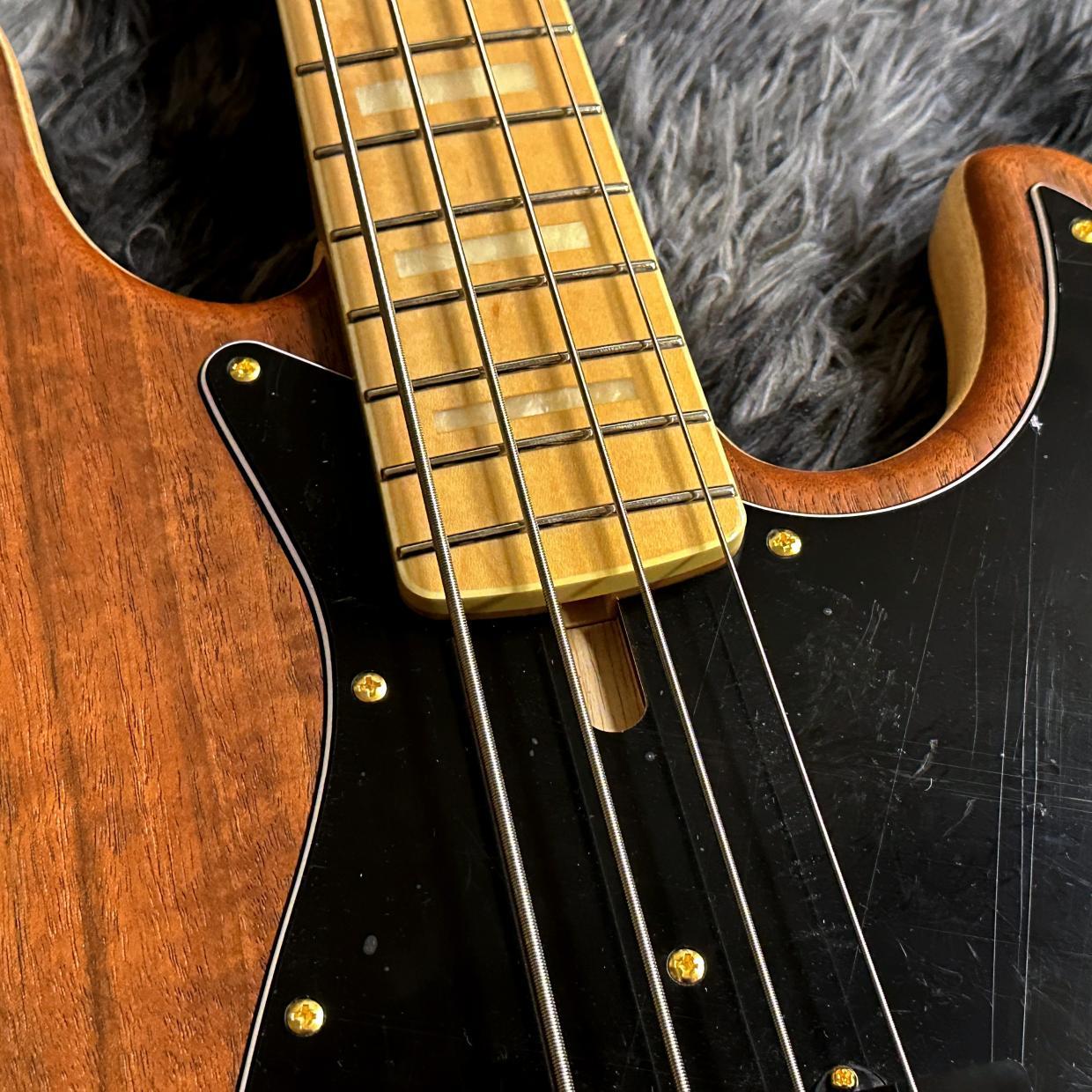 FUJIGEN(FGN) NNJB100MBWL-ONT/01 【展示入替特価】【山野楽器
