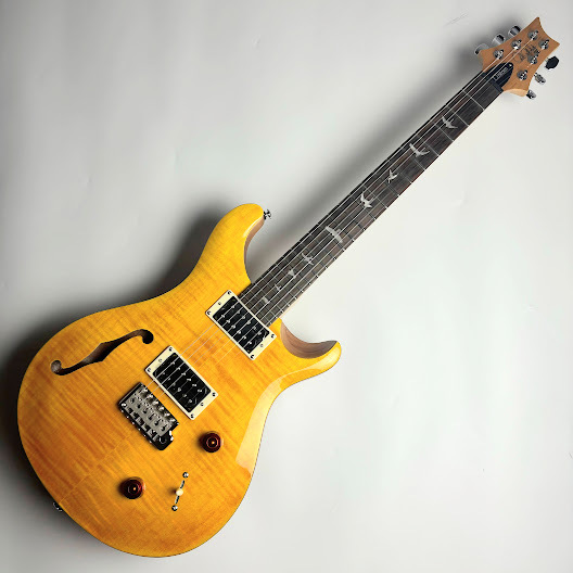Paul Reed Smith(PRS) SE Custom 22 Semi-Hollow（Santana