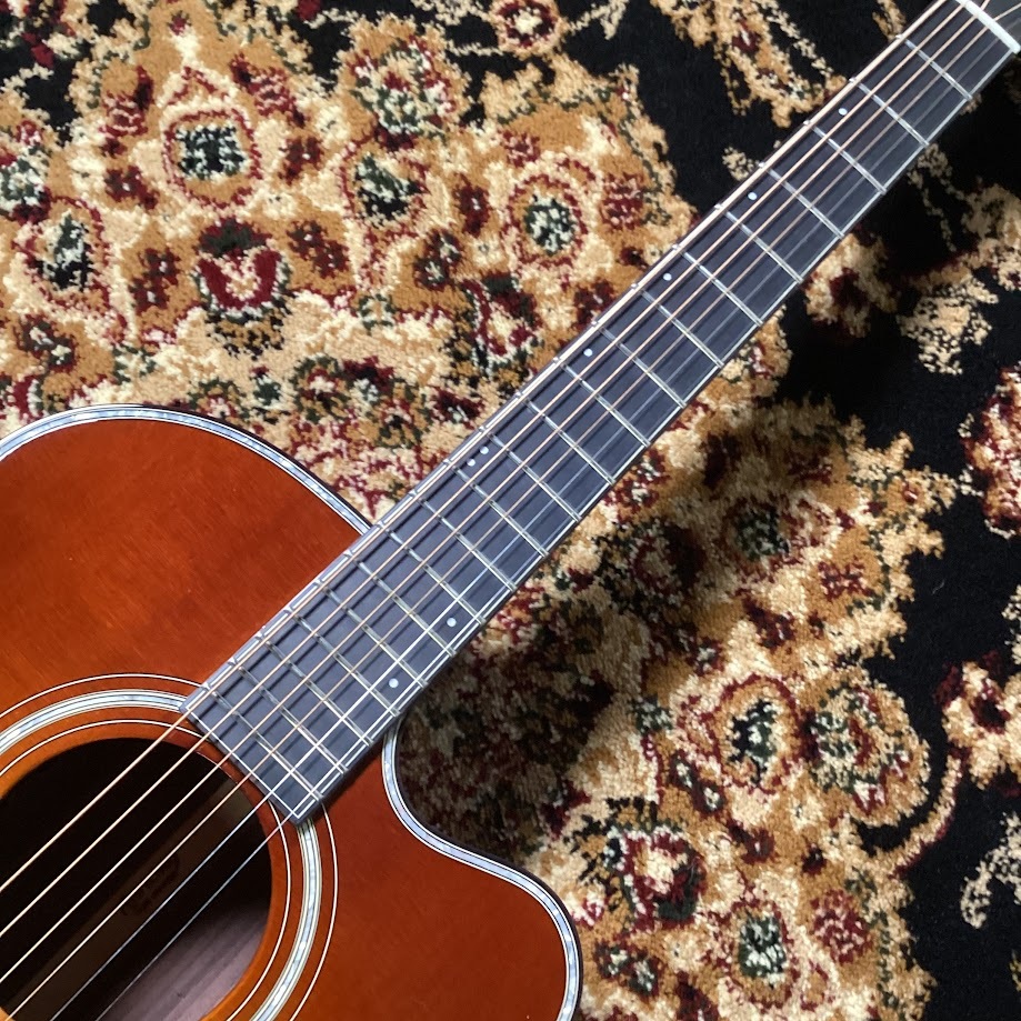 HISTORY NT-301/Ca（新品/送料無料）【楽器検索デジマート】