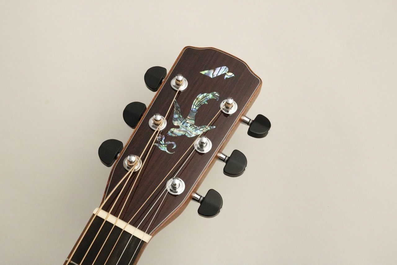 Morris 【BONUS SALE!】 S-101Ⅲ #2310048 【ディープラウンド