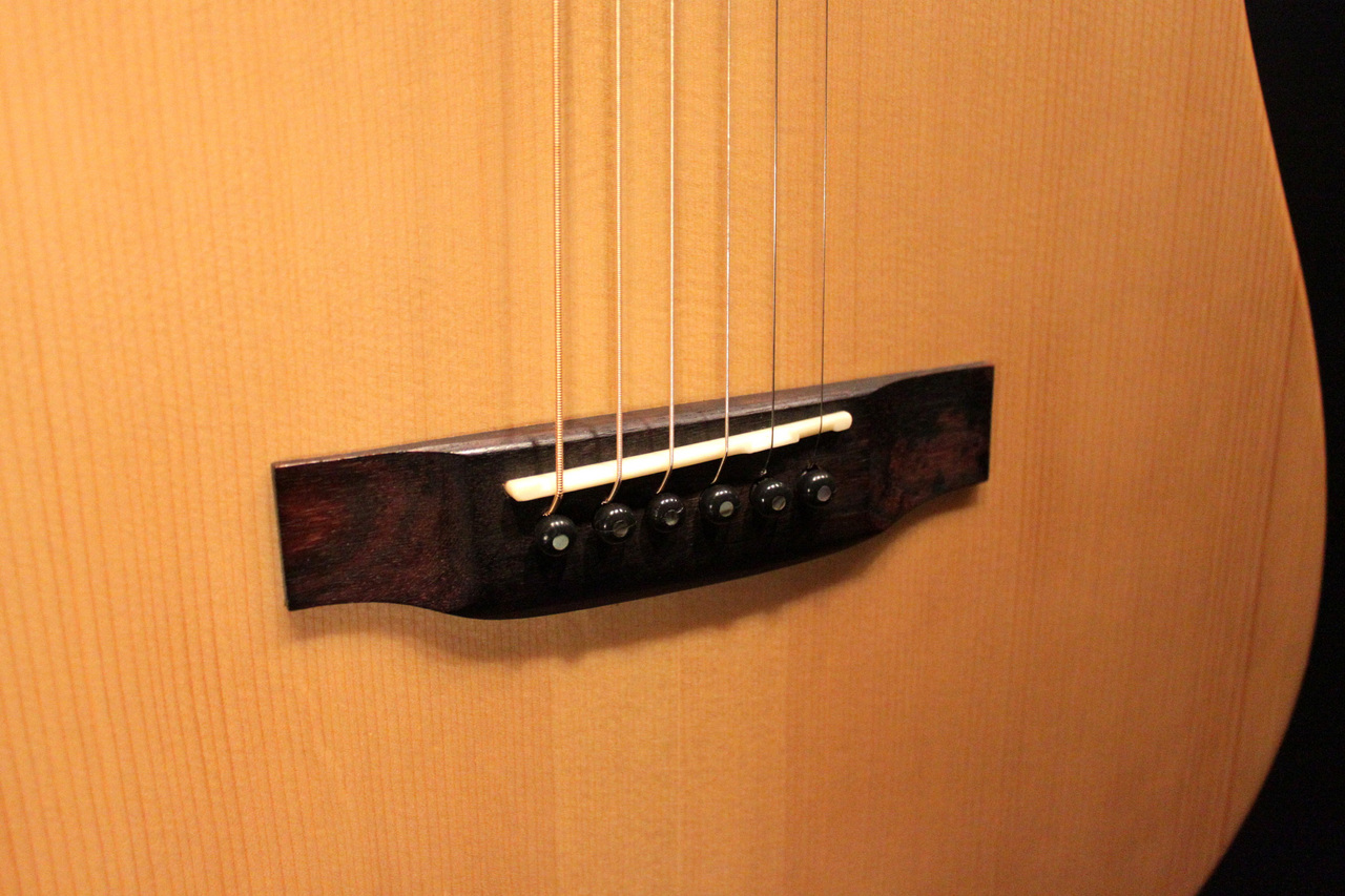 Elvis Elite II Cutaway Spruce/Mahogany (N)（中古）【楽器検索
