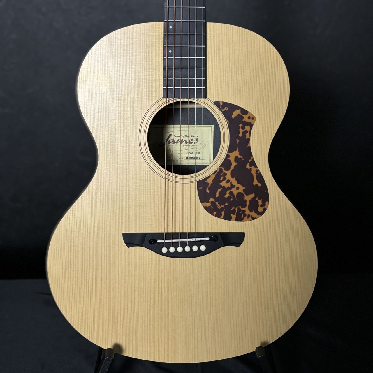 James J-100A SPT アコースティックギター ギグケース付属 スプルース 