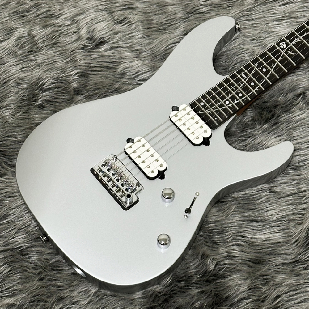 2024年製 Ibanez TOD10 当たり個体 - ギター