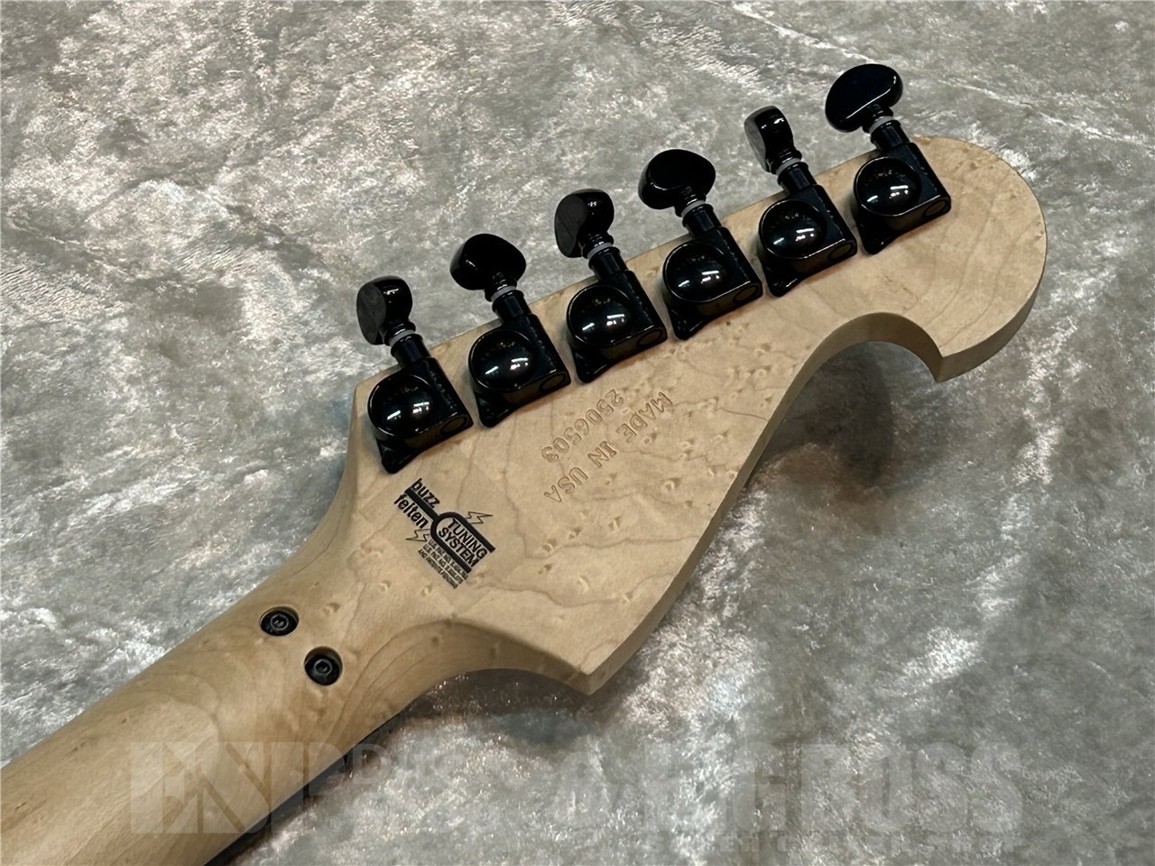 Washburn N4 GWH（新品/送料無料）【楽器検索デジマート】