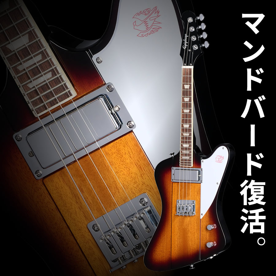 Epiphone Mandobird (Vintage Sunburst) [Electric Mandolin]（新品