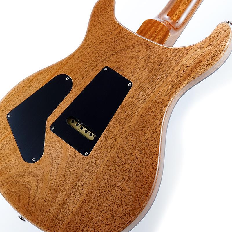 Paul Reed Smith(PRS) 40th Anniversary Custom 24 Limited Edition