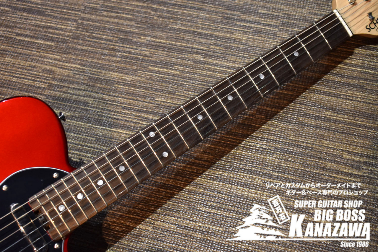 SCHECTER OL-PT-TH CAR【Sホールセミホロウ!】（新品/送料無料）【楽器