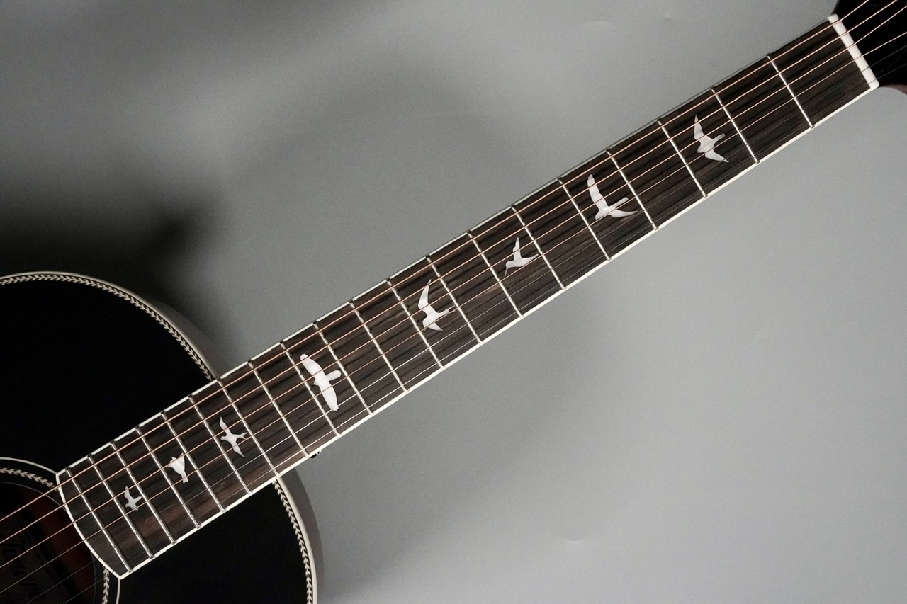 Paul Reed Smith(PRS) (ポールリードスミス)SE Parlor w