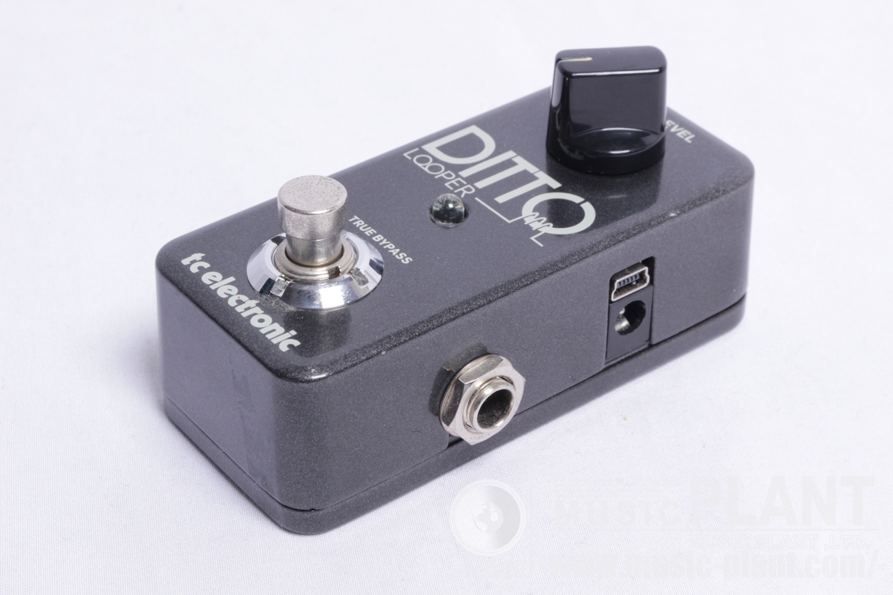 tc electronic DITTO LOOPER（中古）【楽器検索デジマート】