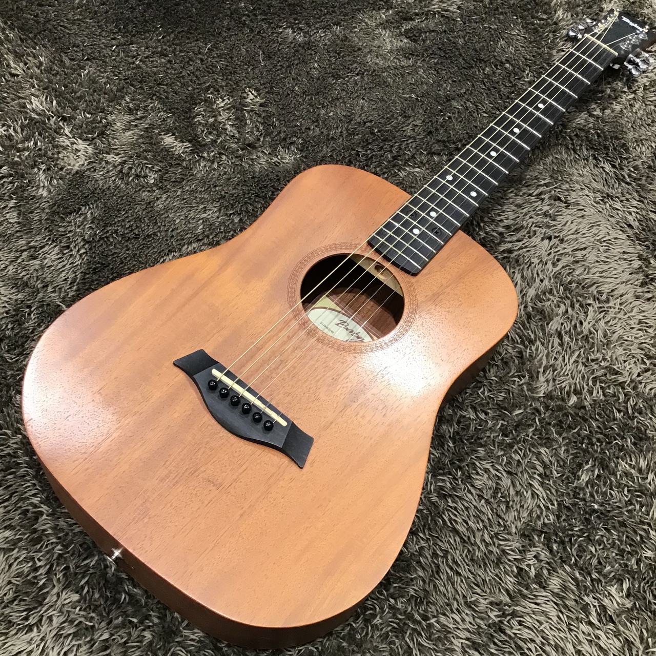 テイラーBABY TAYLOR BT2(ケース・調整器具+おまけ付き)